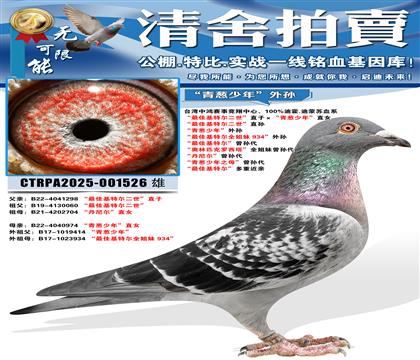 ����ѻ��ض�������ֱ�ӡ���������ꡱֱŮ ����ѻ��ض�������