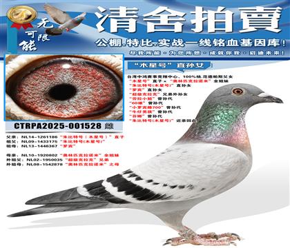 ��ľ�Ǻš�ֱ�ӡ�������ƥ����ŵ�ס�ȫ���� ������غ�(ľ�Ǻ�