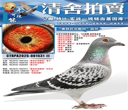 ������ƥ��쫷硱ֱ�ӡ�������ƥ��쫷硱����Ů ������ƥ��쫷�