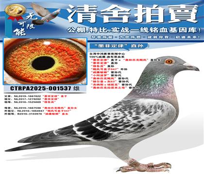 ��ī�ƶ��ɡ�ֱ�ӡ�������ƥ��쫷硱ֱ��Ů ��ī�ƶ��ɡ�ֱ��