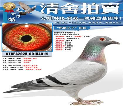 �����098��ֱ�ӡ����Ű�����ֱ��Ů ������С�ӡ����ؽ��׻�