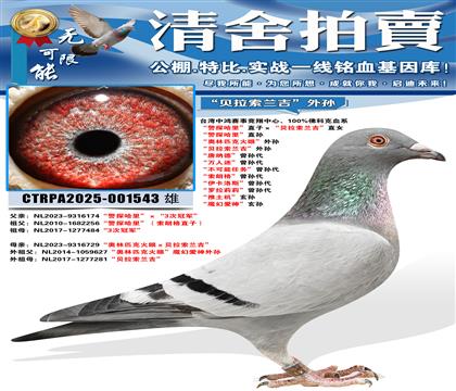 ����̽���ֱ�ӡ���������������ֱŮ ����̽���ֱ�� ����