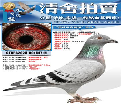 ������ƥ��쫷硱ֱ�ӡ�������ƥ��쫷硱����Ů ������ƥ��쫷�