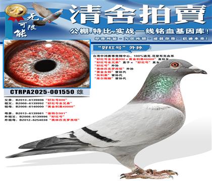 ���ú��ȫ�ֵܡ�ֱ�ӡ����ú�š�ֱŮ ���ú��ȫ�ֵ�992��