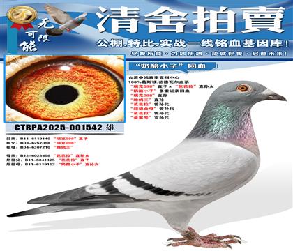 �����098��ֱ�ӡ����Ű�����ֱ��Ů ������С�ӡ����ؽ��׻�