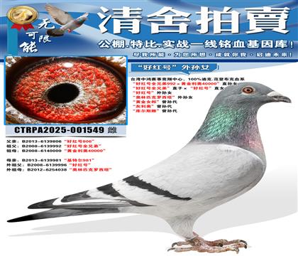 ���ú��ȫ�ֵܡ�ֱ�ӡ����ú�š�ֱŮ ���ú��ȫ�ֵ�992��