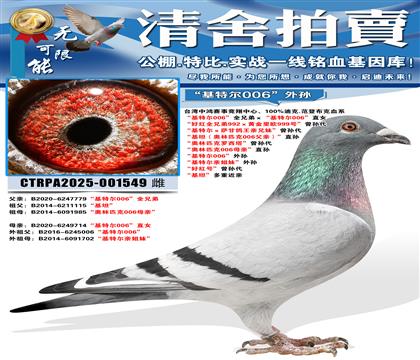 �����ض�006��ȫ�ֵܡ������ض�006��ֱŮ ���ú�ȫ�ֵ�9