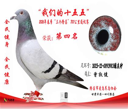 4�����ؽ�2025-22-0893983�ۻ�ɰ