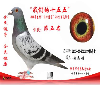 5����־��2025-22-2603829�����