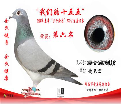 6�������2024-22-0644798�ƻ�ɰ