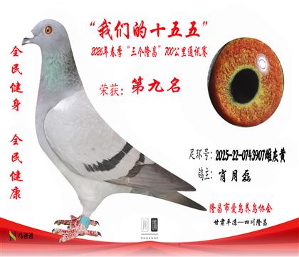 9��Ф����2025-22-0743907�ƻһ�