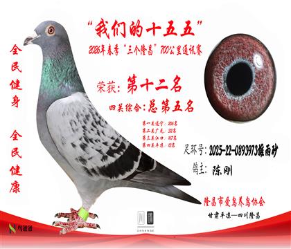 12���¸�2025-22-0893973����ɰ