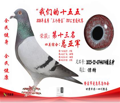 13��̷��2025-22-0744014�ۻ�ɰ