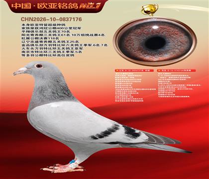 �Ǳ�ԭ������ŷֱ��727X����ŷֱ��Ů165