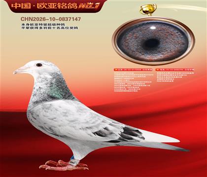 ��˼���ڰ�ѩ����058X796