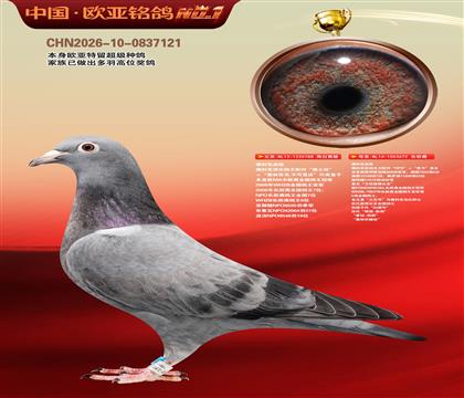 ��ƿ�ԭ�ᡰ����˼�顱788X��ϣ����672