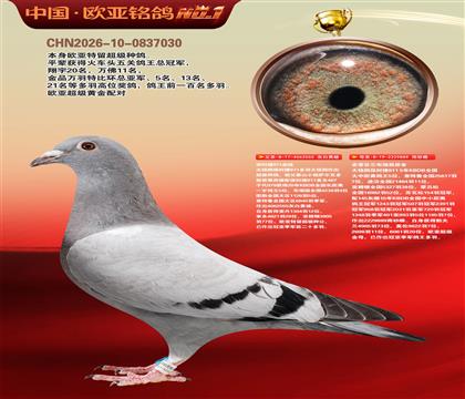 ��ʱ��911Ѫͳ555X��ʱ��889