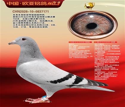 �Ǳ�ԭ��³��ֱ��183X³��ֱŮ199