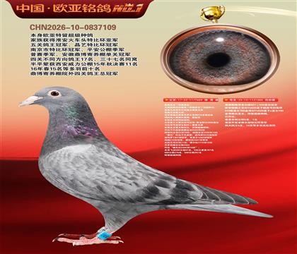 ղɭ���659X919ֱŮ080