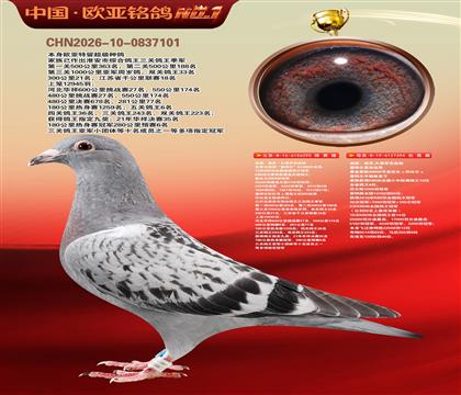 �Ͽ�.���ǲ���Ѫͳ���ض�295X���ض�ֱ��394