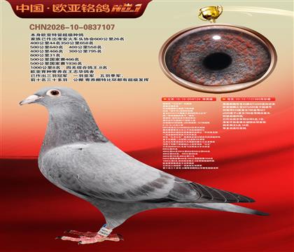 ղɭ�������Ĺڸ�������124X919ֱŮ080