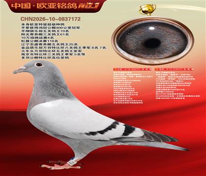 �Ǳ�ԭ�ᳬ������ŷֱ��727X��ӥ��127