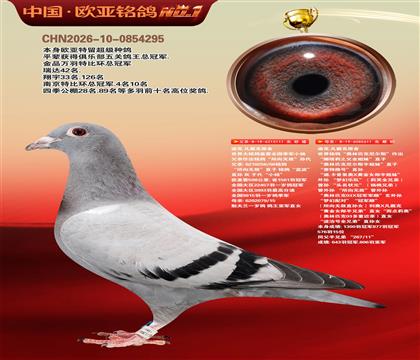 �Ͽ�.������ԭ��111X611����ƥ�����˹