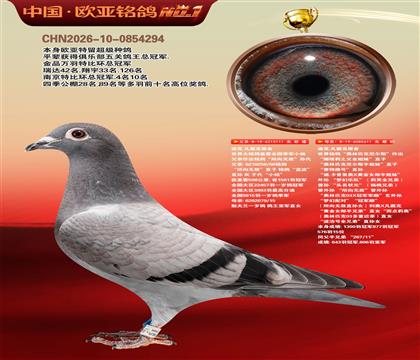 �Ͽ�.������ԭ��111X611����ƥ�����˹