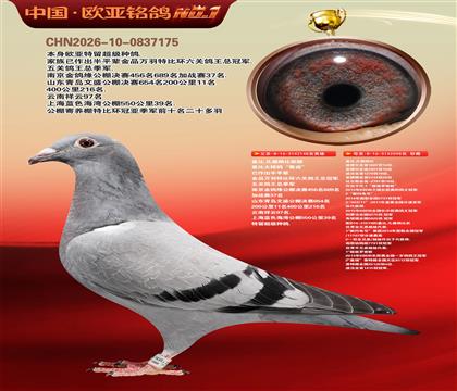 �Ǳ�ԭ��³��148X³��098