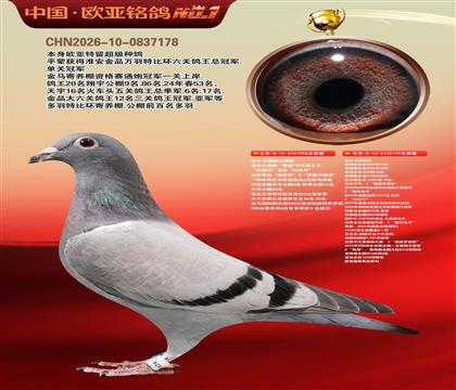 �Ǳ�.�����ɱ�ԭ��998X199