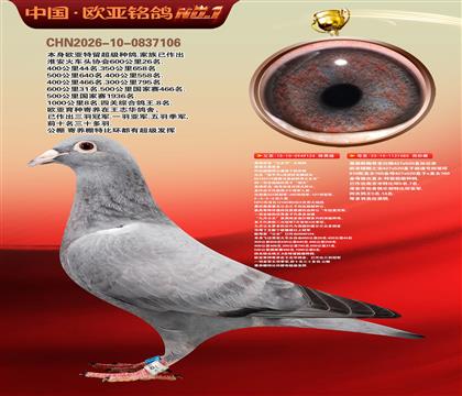 ղɭ�������Ĺڸ�������124X919ֱŮ080