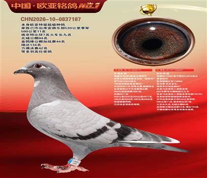 ����Xɣ��ʿ116X����926ֱŮ457