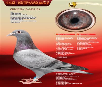 ղɭԭ�ṫ����131X130ֱ��X222������ĸ