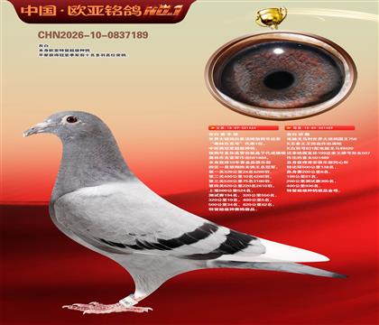 ɣ��ʿ�ǹ���464X����489��ĸ