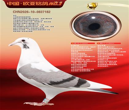 �����������Ը����������ֺš�447X314�ƽ����