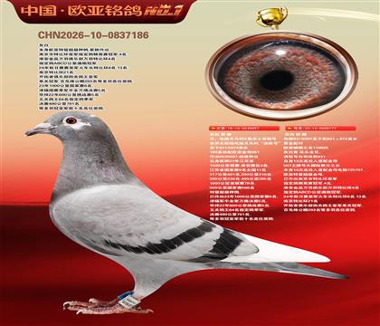 ����097������1500����4��Xɣ��ʿ777