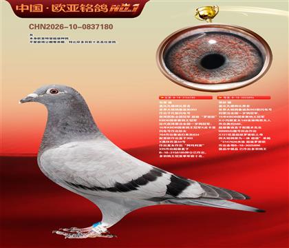 �Ǳȷ����ɱ�ԭ��185X896