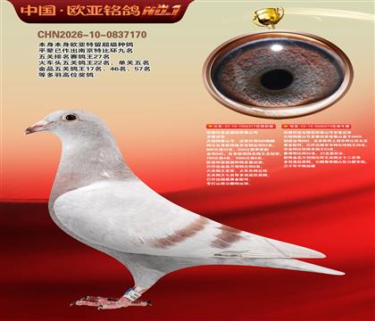 ��������ȫ���ھ�̩ɽ�Ŷ��ؽ���317X573