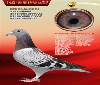 ղɭԭ�ᡰ�����š�131XֱŮ653