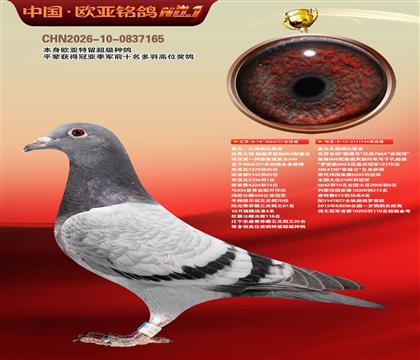 �Ǳ�ԭ�ᳬ������ŷֱ��727X��ӥ��934