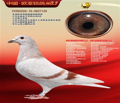 ��������ȫ���ھ�̩ɽ�Ŷ��ؽ���419X076