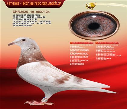 ��������ȫ���ھ�̩ɽ�Ŷ��ؽ���317X573