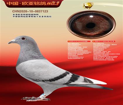 �Ǳ�ԭ��³�ϻ�185X�������123