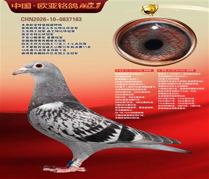 ղɭ919����308Xղɭ766ֱŮ563