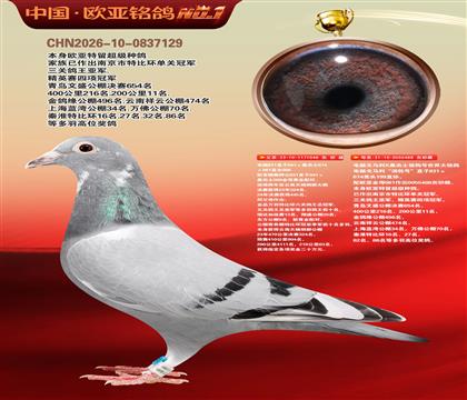 ����ɣ��ʿ048ͭ��324��X061ֱŮ488