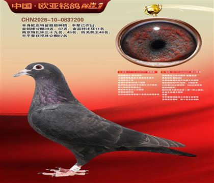 ��˹ɣ��ʿ��ɫ�쳵797X539