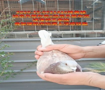 ���ǲ���x���ǲ���