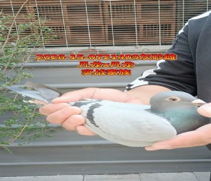 ����X������ĸ