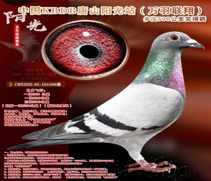�¶����ߡ��������辫ѡ������ר��