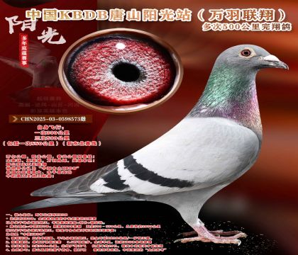 �¶����ߡ��������辫ѡ������ר��